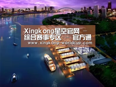 案例展示八