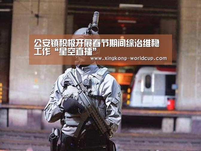 公安镇积极开展春节期间综治维稳工作“星空直播”(图2) 星空平台